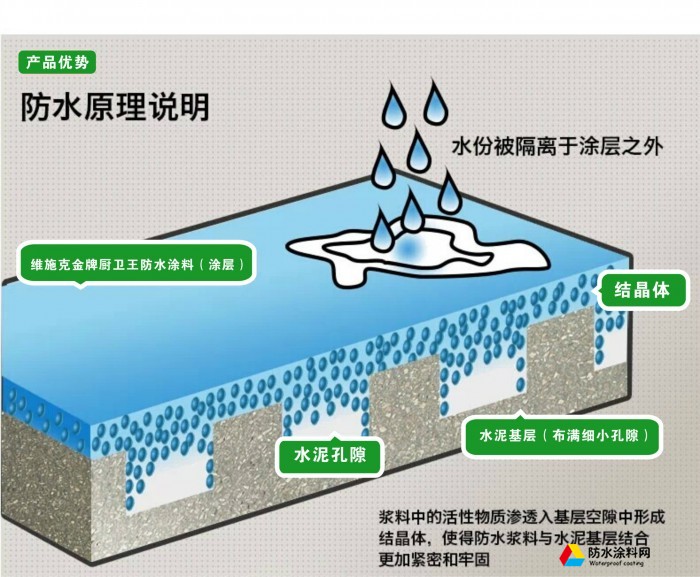 維施克黑豹防水涂料 廚房衛(wèi)生間防水陽臺(tái)內(nèi)外墻面防漏水漿料